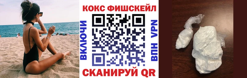 Cocaine FishScale  где купить наркоту  Алатырь 