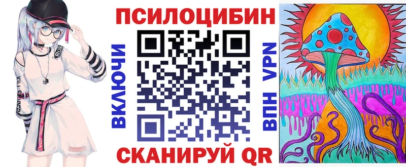 Псилоцибиновые грибы Magic Shrooms  купить наркоту  Алатырь 