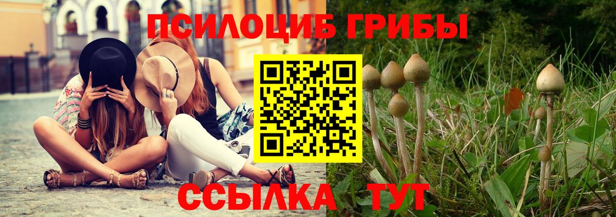 Псилоцибиновые грибы Cubensis Алатырь