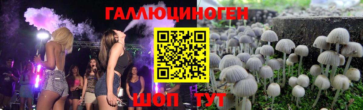 Галлюциногенные грибы мицелий  Галлюциногенные грибы Magic Shrooms  Алатырь  Вход с VPN 